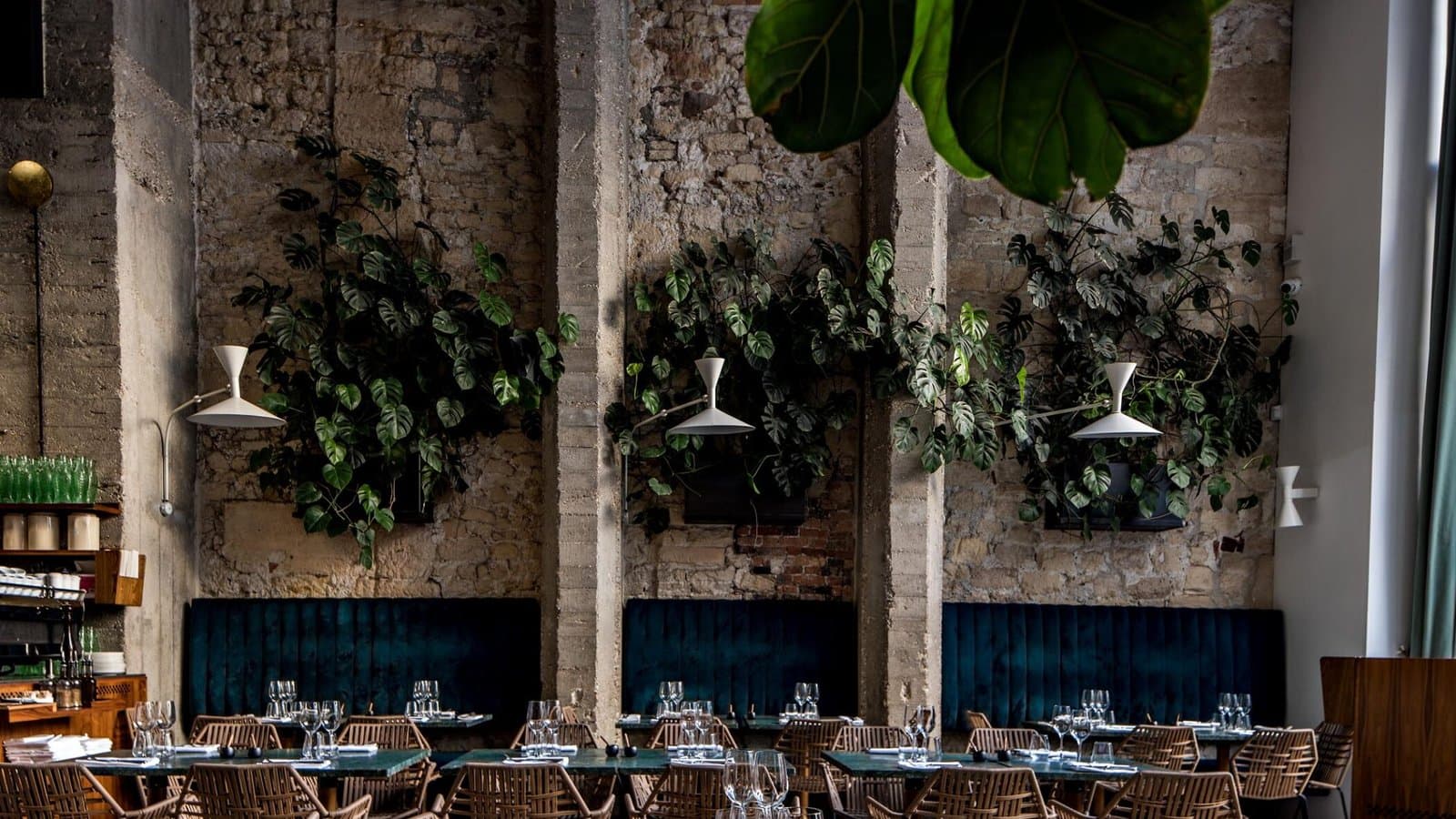 La grande salle de Daroco, ses murs de pierre, ses plantes suspendues et ses banquettes de velours bleu
