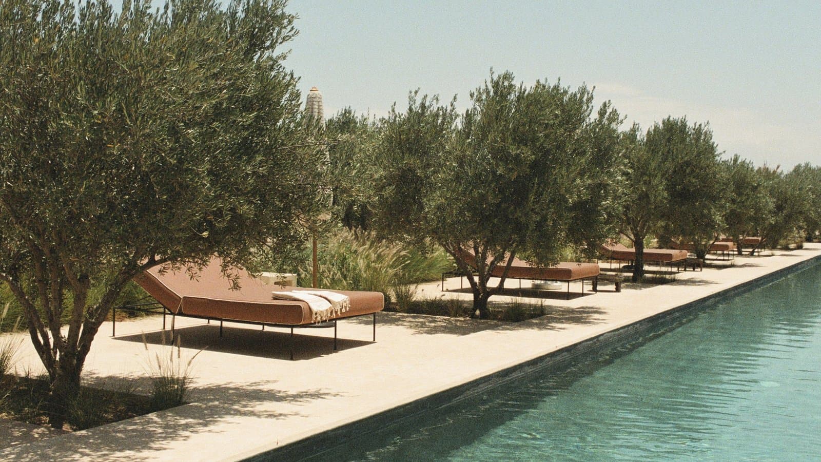 La piscine de cinquante mètres de Farasha Farmhouse, entre les oliviers