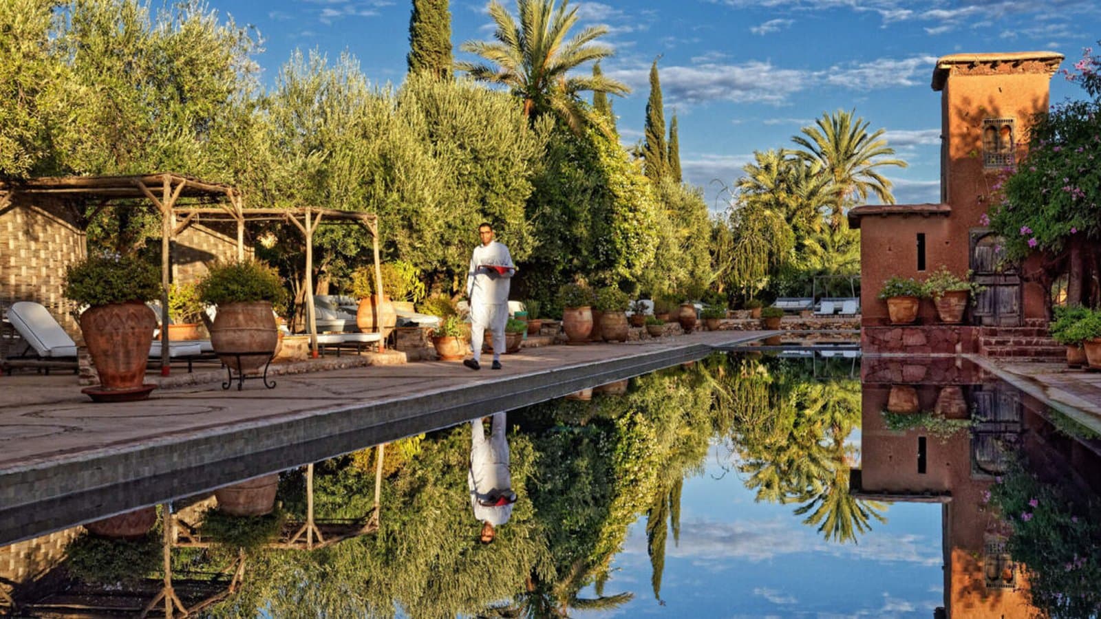 Piscine bordée d'oliviers et de palmiers au Beldi Country Club, à Marrakech