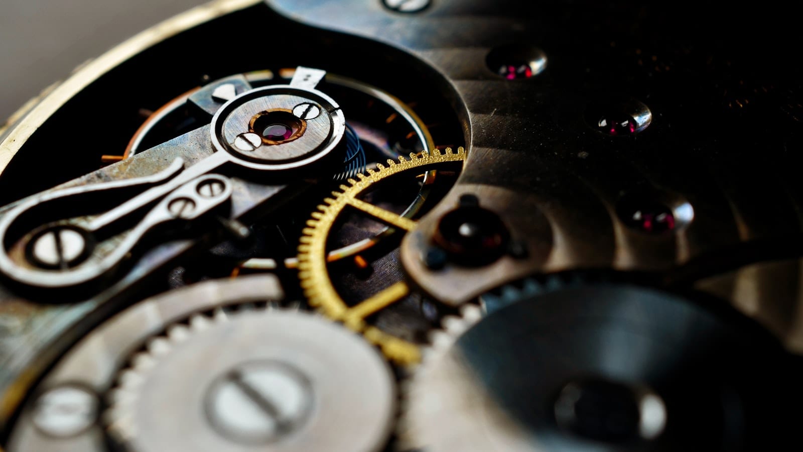 Quatre montres automatiques posées côté fond transparent sur un tapis d'horloger, rotors visibles, à côté d'un chronomètre de contrôle
